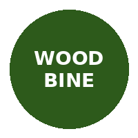 Woodbine Casino